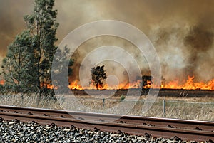 Bush Fire