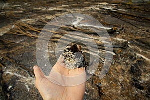 Bush Fire Devastation