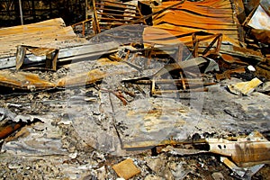 Bush Fire Devastation