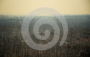 Bush Fire Devastation