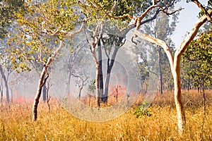 Bush Fire in Outback Australia