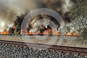 Bush fire beside railway line