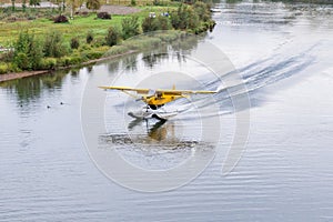 Bush float plane landing on  river in Alaska