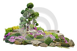 Bush flowers of pink, yellow bougainvillea, shrubs, purple flower vines and stone on isolated white background.,