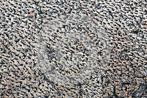 Bush-hammered white limestone rough surface