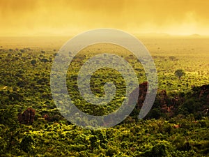 Bush in Kenya, Africa. Tsavo West National Park