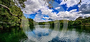 Bush lined bay on Lake Rotoiti