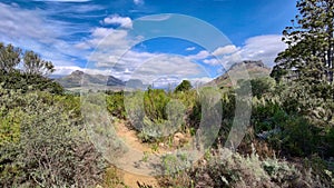 Bush and mountains landscape of Jan Marais Nature Reserve landscape in Stellenbosch, Western cape , South Africa.