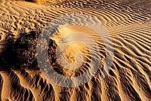 In the Sahara Desert in Morocco.