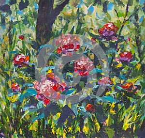 A bush of red pink peony roses in the green grass. Abstract plein air in the garden. Rural landscape nature
