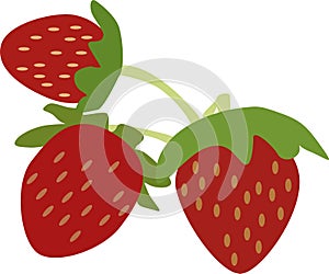 A bush of ripe strawberries with three berries, vector drawing, isolate on