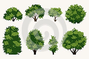 bush set vector flat minimalistic isolated illustration