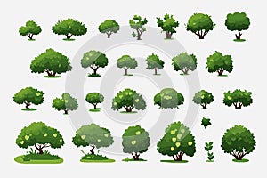 bush set vector flat minimalistic isolated illustration