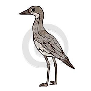 Bush stone curlew Aussie bird color vector character