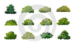 Bush vector illustration set, collection of bush cartoon flat design