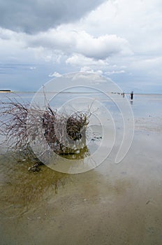 Sobre el el mar 