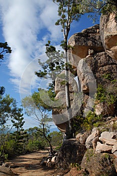 Bush walk, known as The Forts Walk, Australia