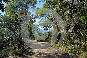 Bush walk, known as The Forts Walk, Australia