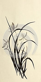 Bush of wild orchids