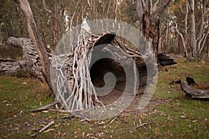 Bushcraft Cave