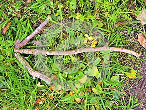 Bushcraft Stick Arrow