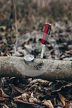Bushcraft Survival Knife And Compass Best Friend In Nature