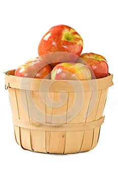 Bushel of Apples