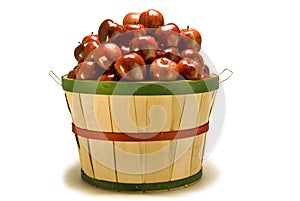 Bushel Basket of Apples Spilling Out