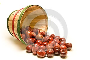 Bushel Basket of Apples Spilling Out photo