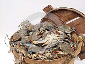 Bushel basket of crabs2