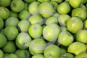 Bushel of Green Apples