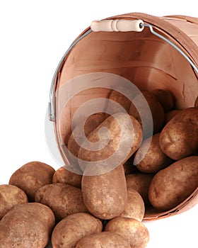 Bushel of potatoes isolated on white photo