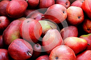 Bushel of Red Pears photo