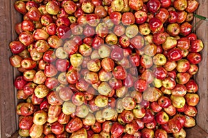 Bushels full of fresh red delicious apples for sale. Shallow depth of field.