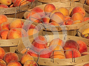 Bushels of Peaches 2