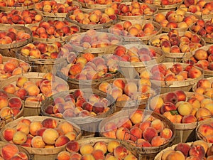 Bushels of Peaches