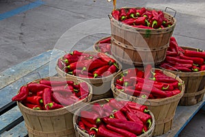 Bushels of red peppers