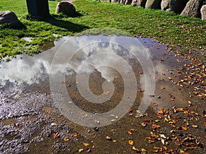 Bushes and clouds reflected in a puddle