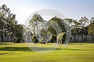 Bushes cut to animal figufres in the park of Bang Pa-In Palace