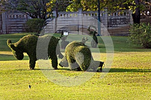 Bushes cut to animal figures in the park of Bang Pa-In Palace