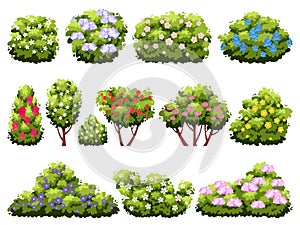 Bushes with flowers. Flowering garden plants, different types, green decorative blooming shrubs, beautiful landscape