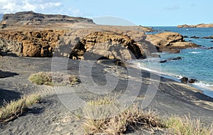 Bushes leading to beach