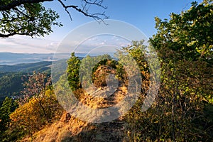 Keře u Jelenské skály ve Štiavnických vrších