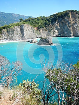 Bushes and threes on rocky beach