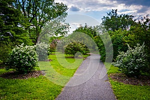 Bushes and trees along a walkway at Cylburn Arboretum, Baltimore