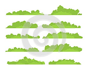 Bushes and vegetation in a cartoon style. Set for your design. Vector illustration in flat style