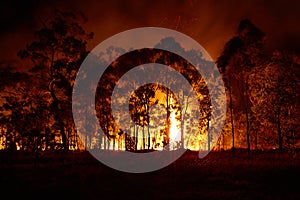 Bushfire Australia 4 photo