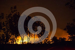 a bushfire, forest is really bright because of the fire, litchfield national park, australia