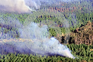 Bushfire Queensland Australia