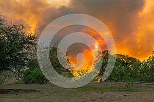 Bushfires on the Kwando River, Zambezi Region, Namibia
